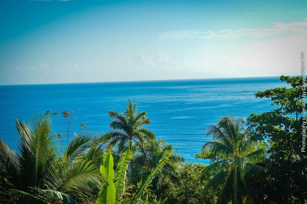 Pensión Ackee Tree Sea View *