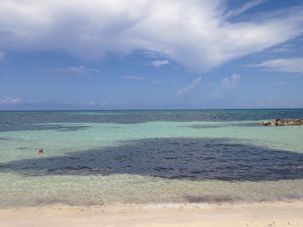 Seacastles By The Beach/pool Apartahotel Montego Bay