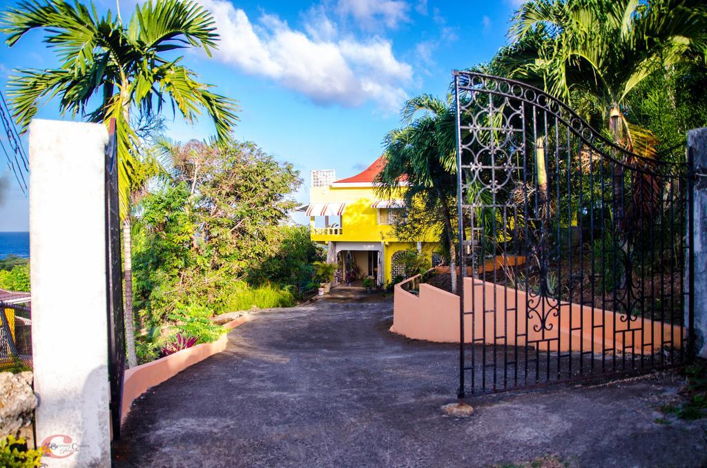 Pensión Ackee Tree Sea View Port Antonio