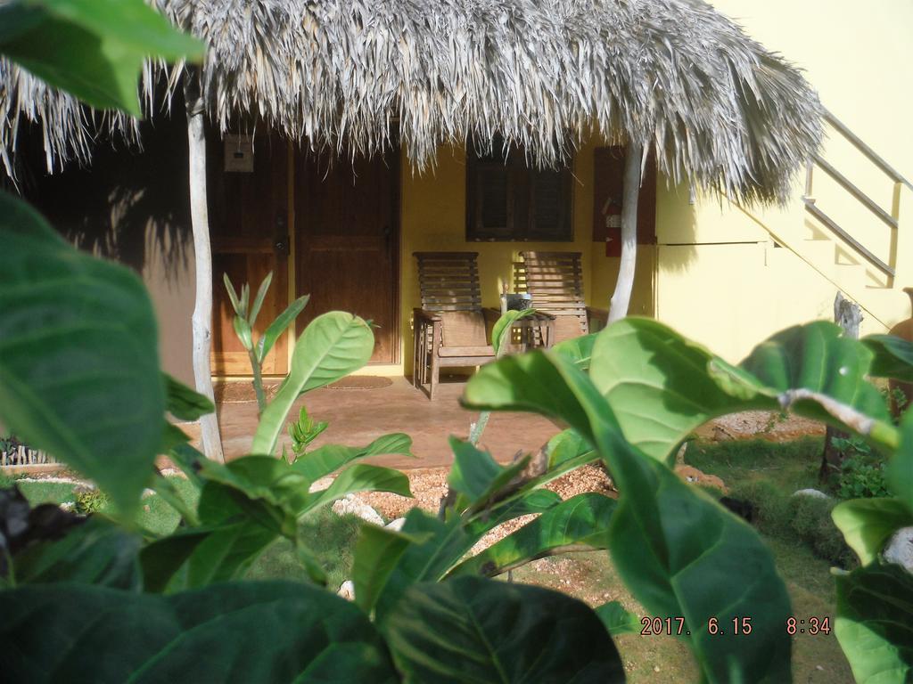 Pensión Kudehya Treasure Beach