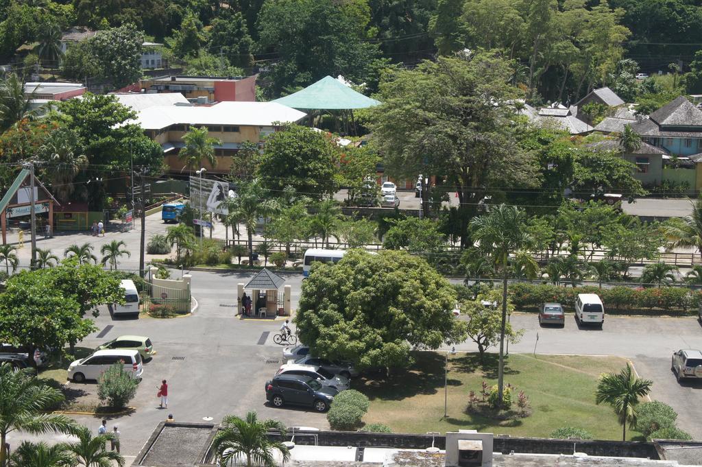 Apartamento Alva Mae *