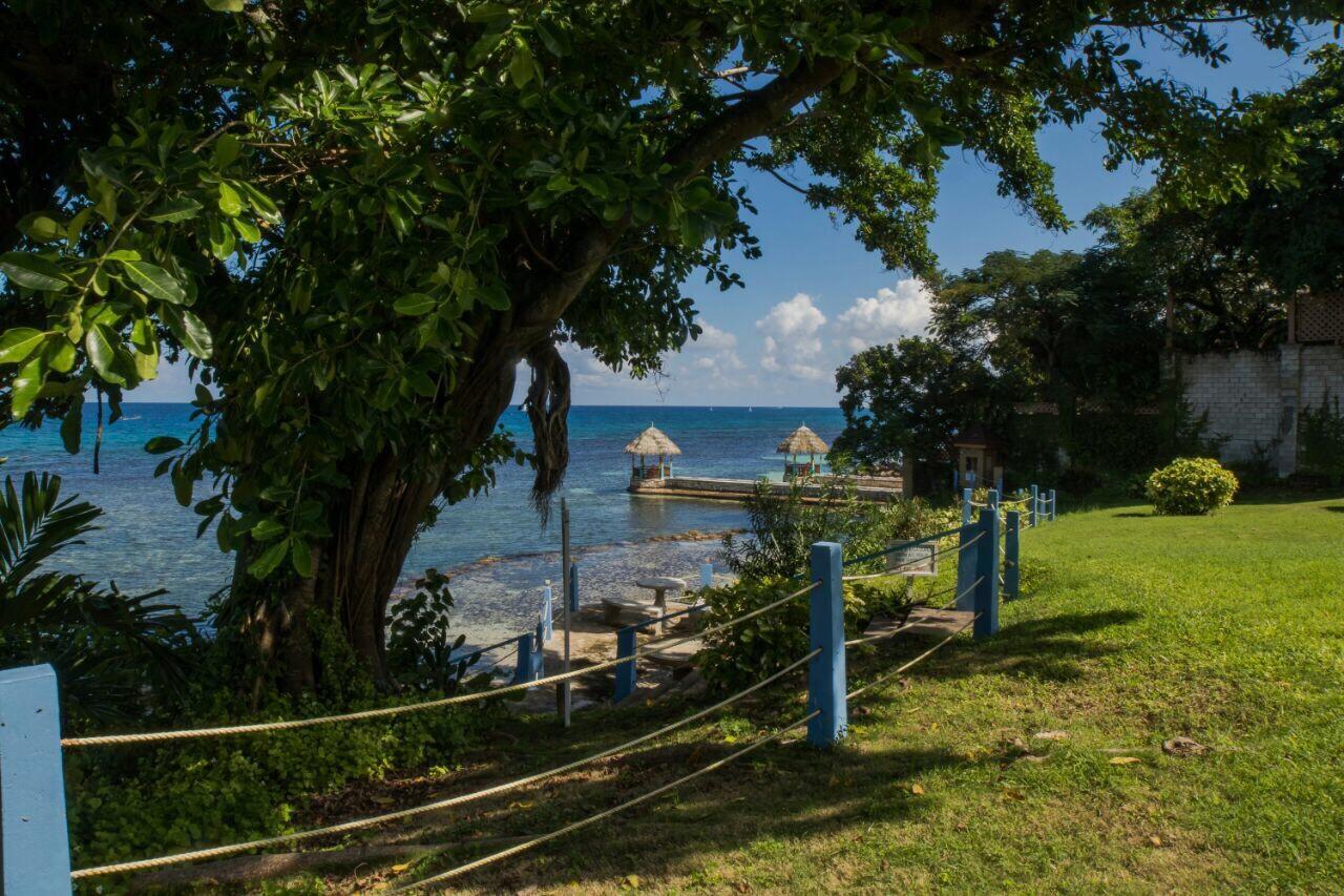 Carib Fedlyn *
