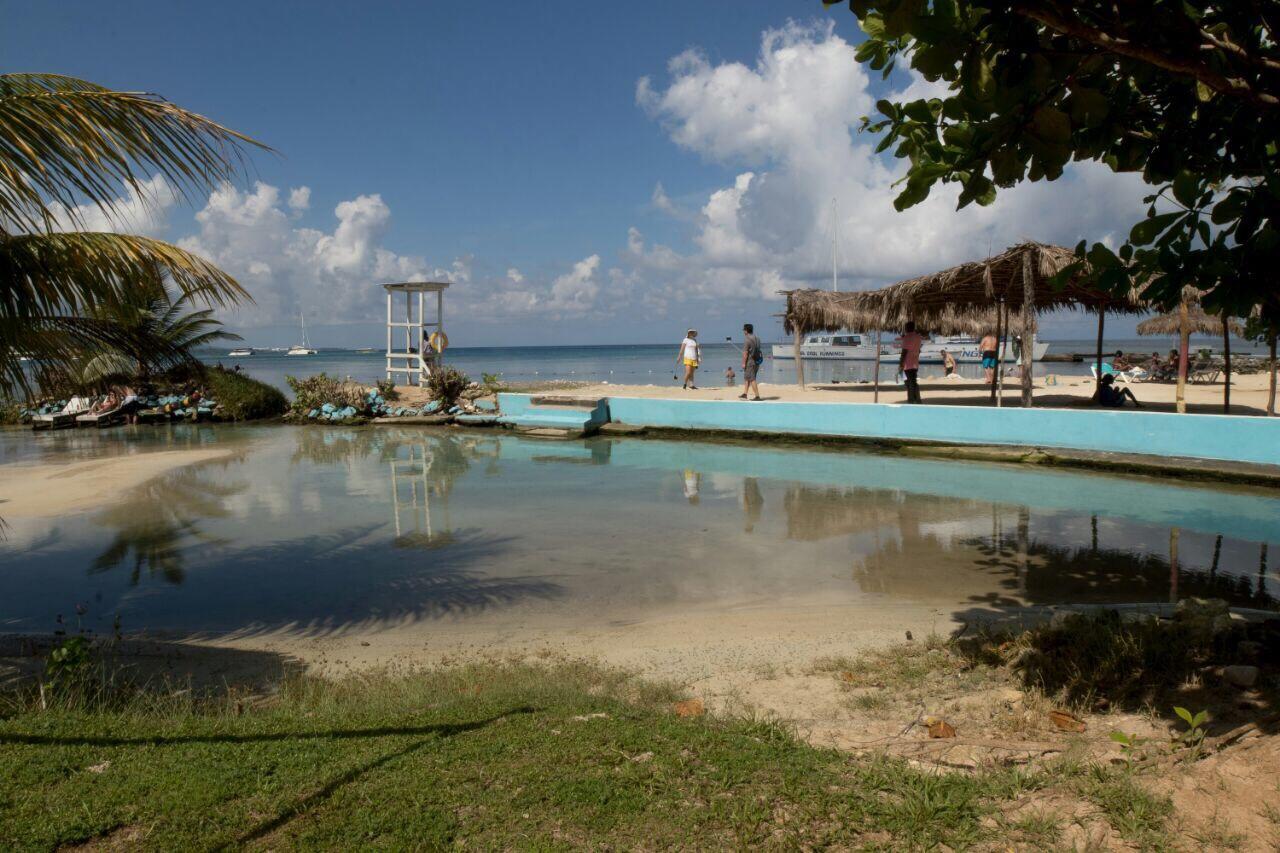 Carib Fedlyn Apartment *