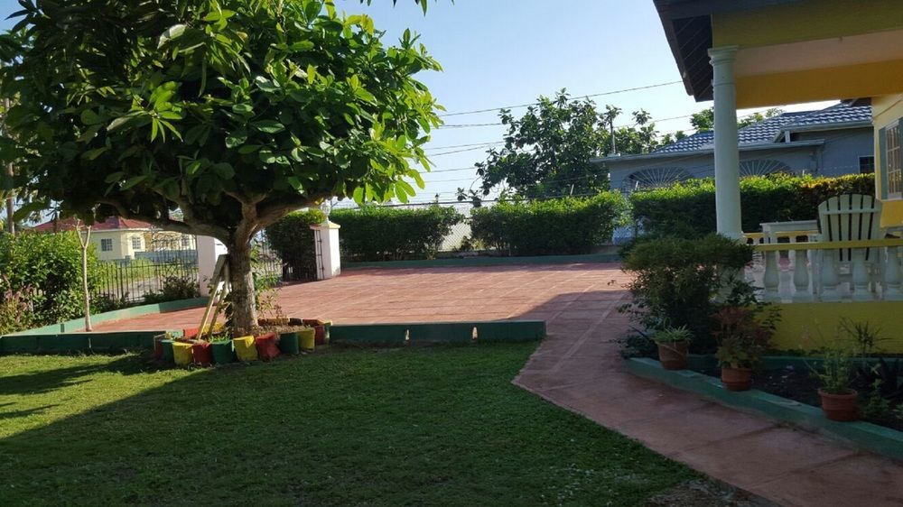 Almond Tree