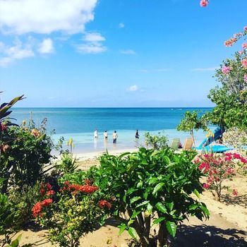 Parque de vacaciones Little Bay Cabins 2*