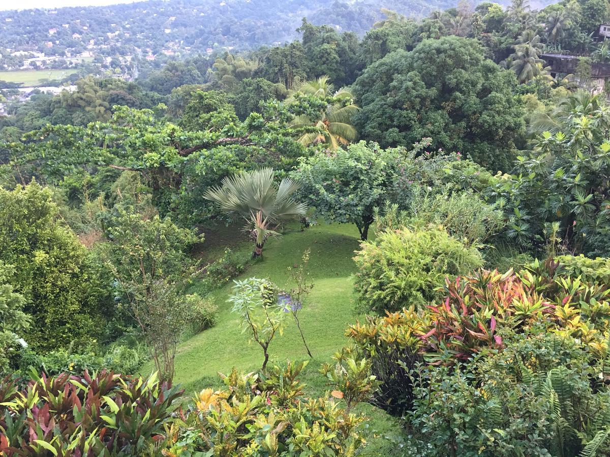Treetops * Port Antonio