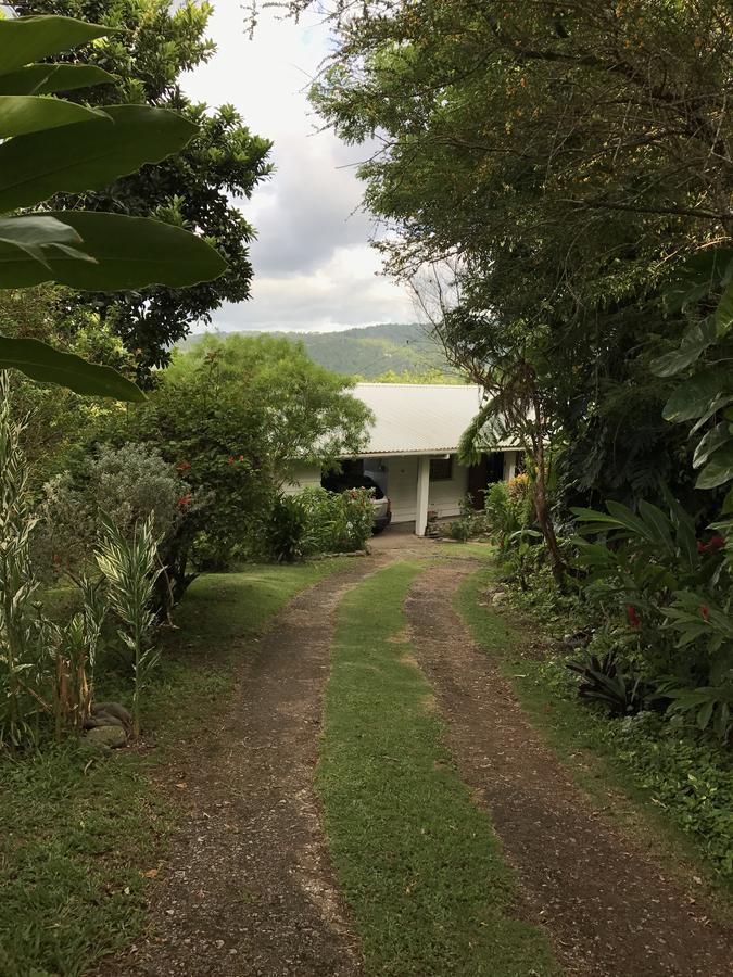 Villa Treetops *