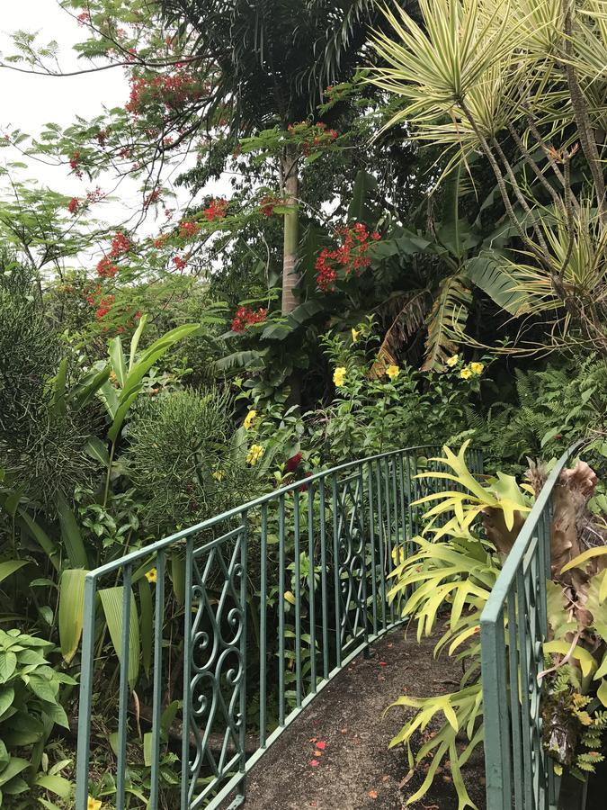 Treetops Villa Port Antonio