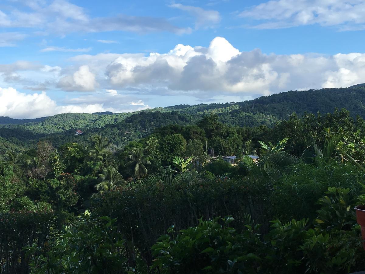 Treetops * Port Antonio