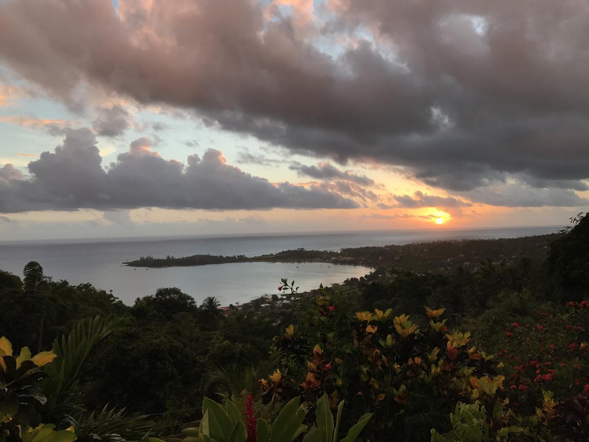 Treetops Villa Port Antonio