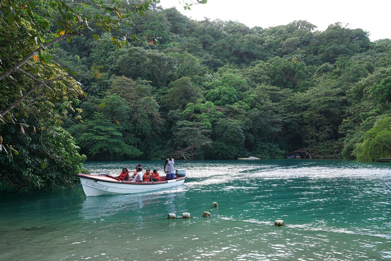Treetops Villa Port Antonio