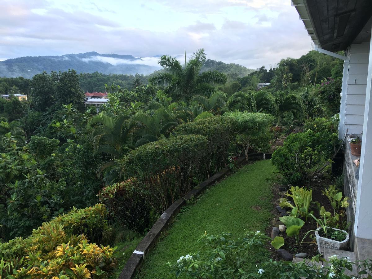 Treetops Villa Port Antonio