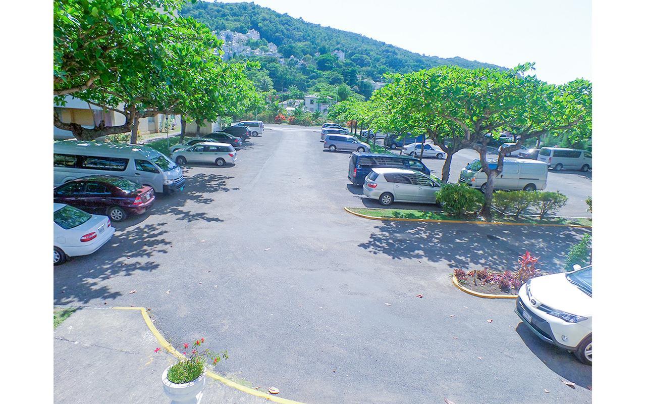 Sundreamer @ Turtle Towers Apartment Ocho Rios