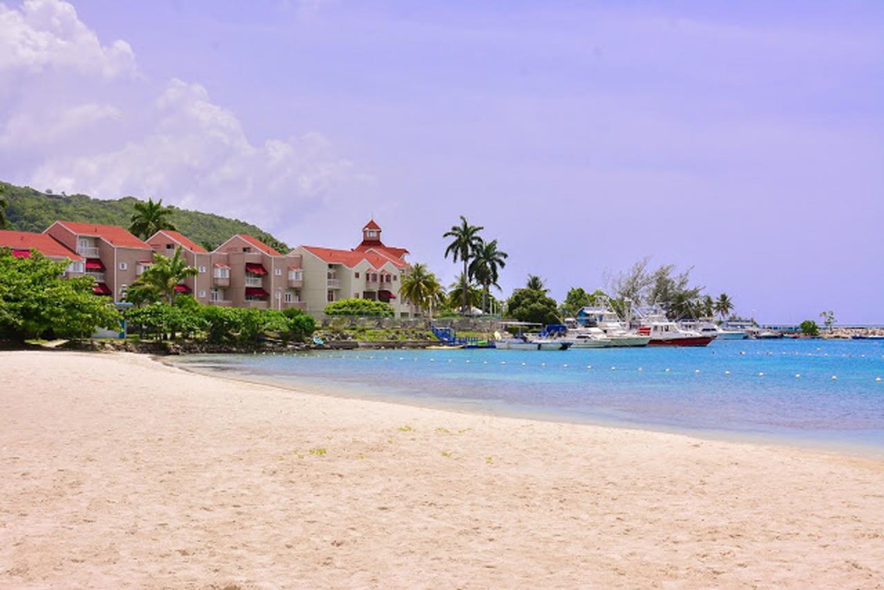 Sea Bird @ Sandcastles Ocho Rios