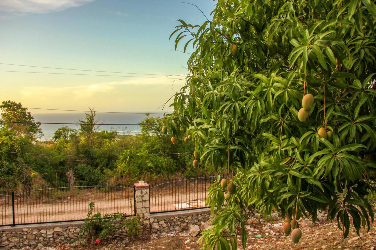 Sunshine Lodge: Your Away From Holiday home