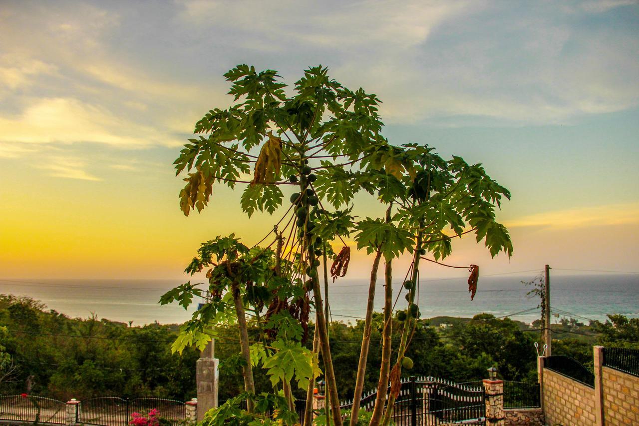 Holiday home Sunshine Lodge: Your Away From Montego Bay