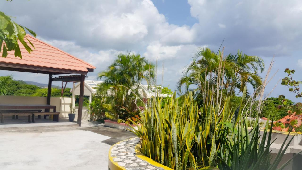 Bed & Breakfast Pen Hall Bnb Ocho Rios