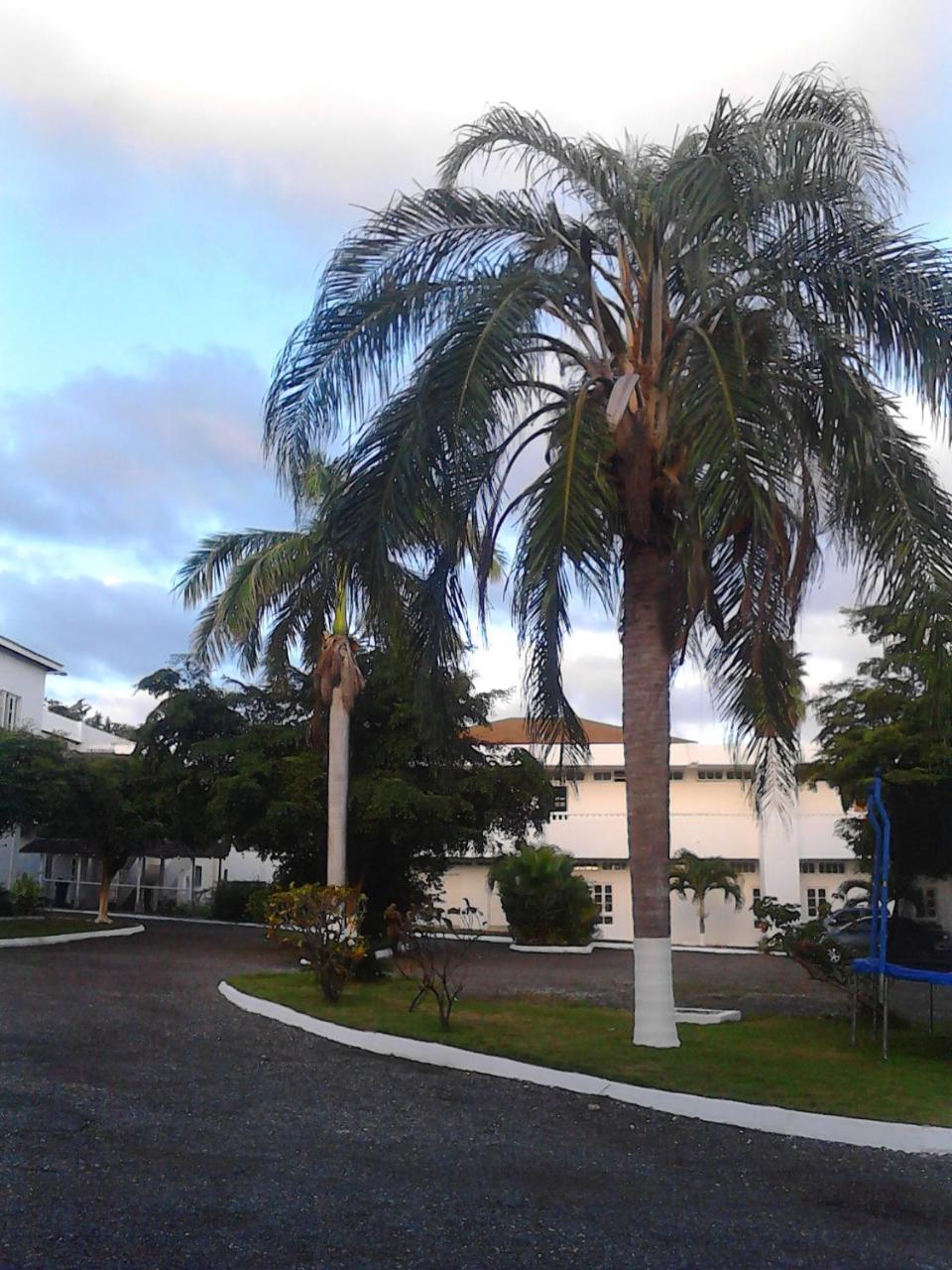 Bed & Breakfast Sea Shell Palms, 3*