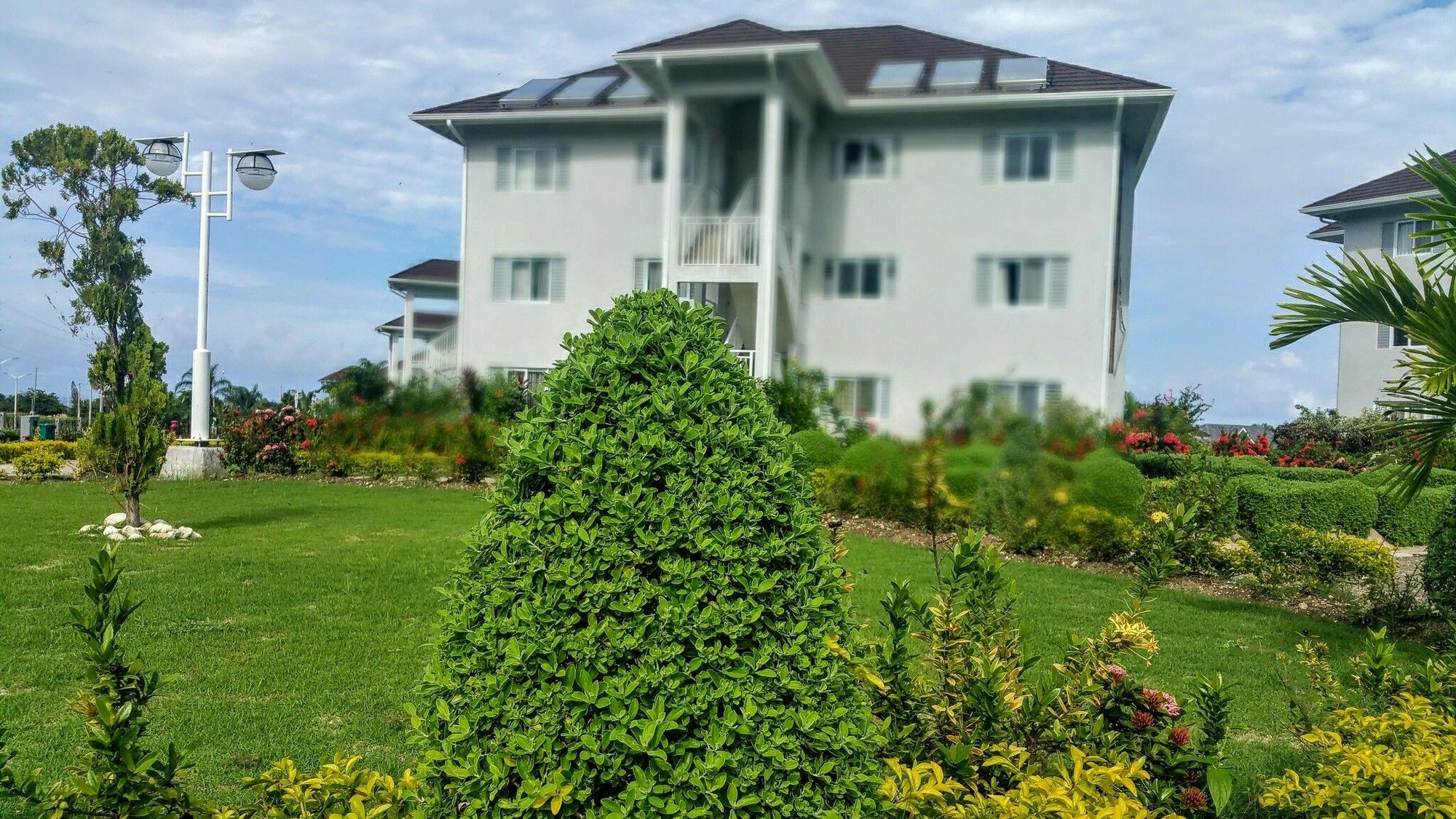 Fern Court With Oceanic View Iii Apartment