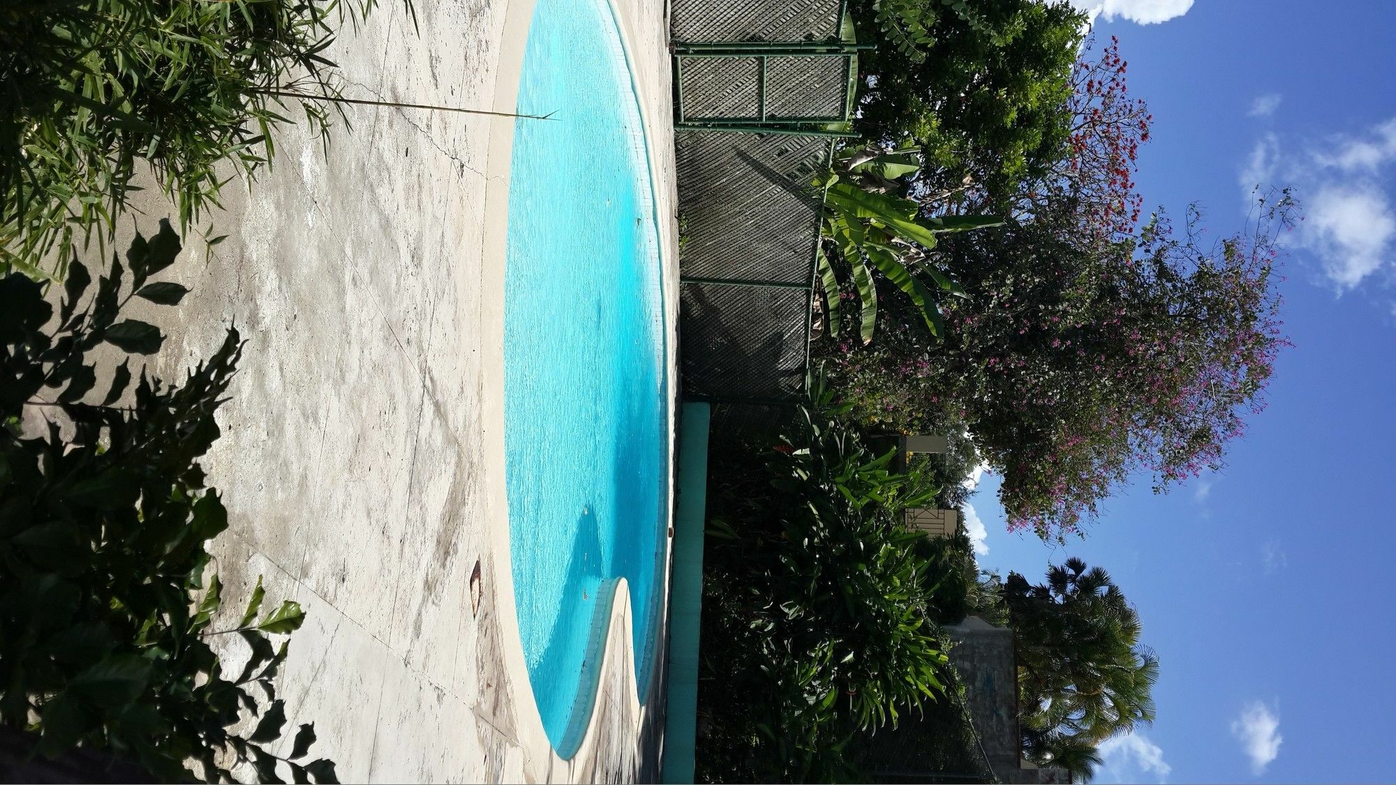 The Tallyman Montego Bay