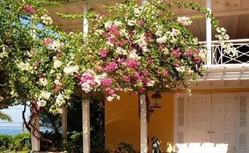 Bed and breakfast Polkerris 3*