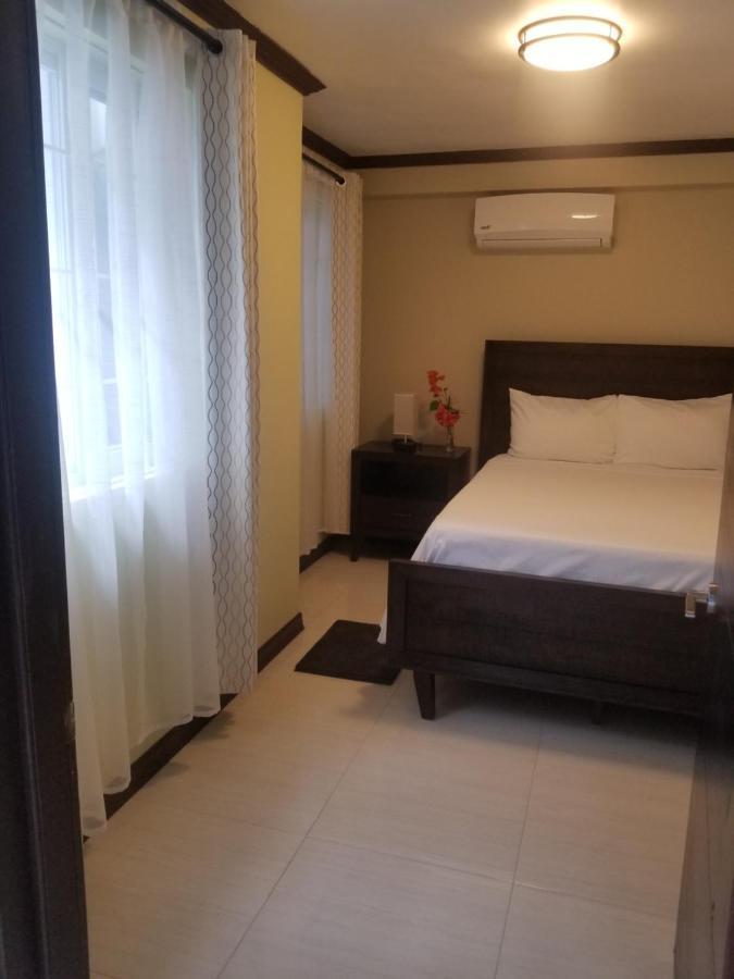 The Town Apartment Port Antonio