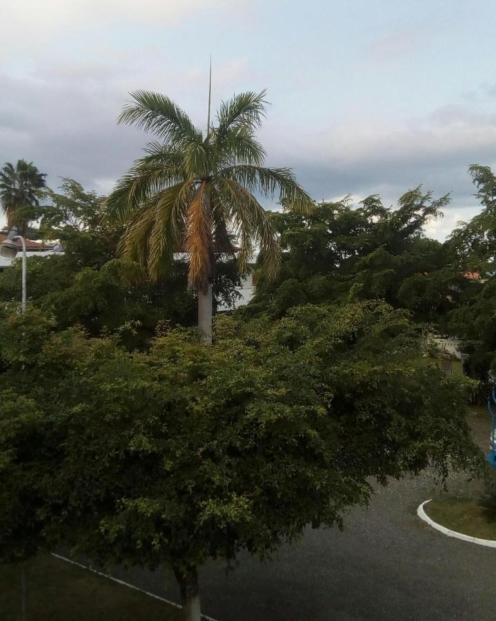 Bed & Breakfast Sea Shell Palms,