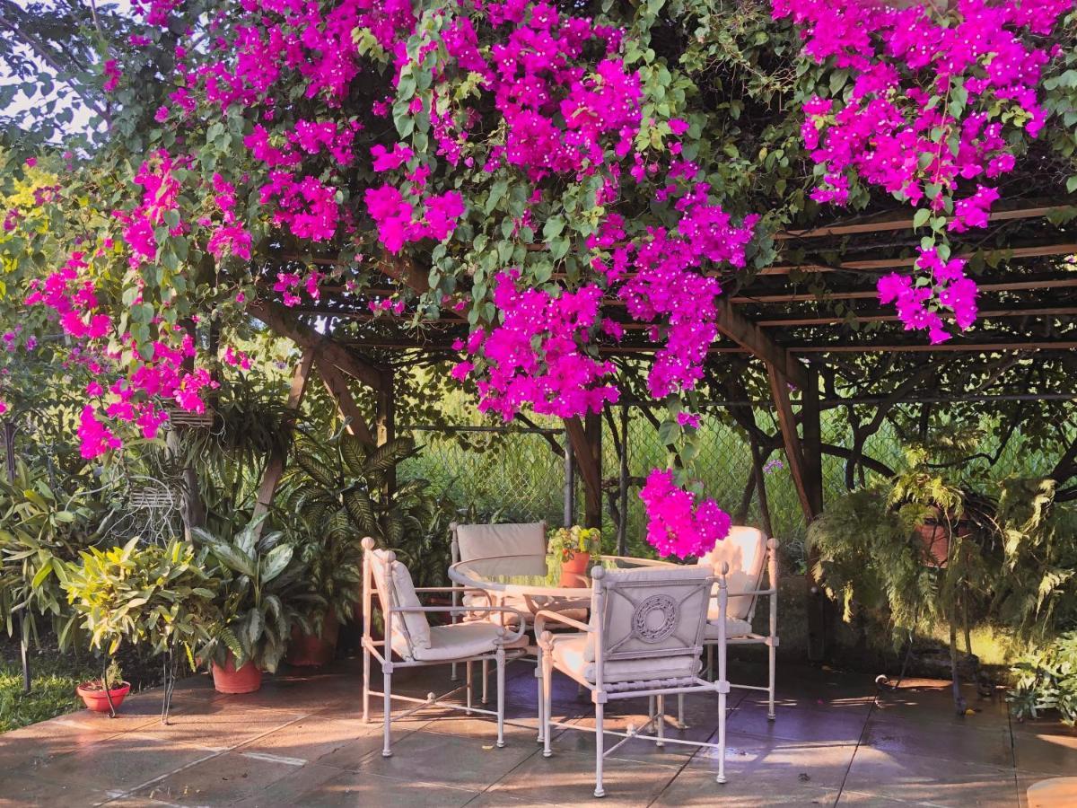 The Blue House Boutique Bed & Breakfast Ocho Rios