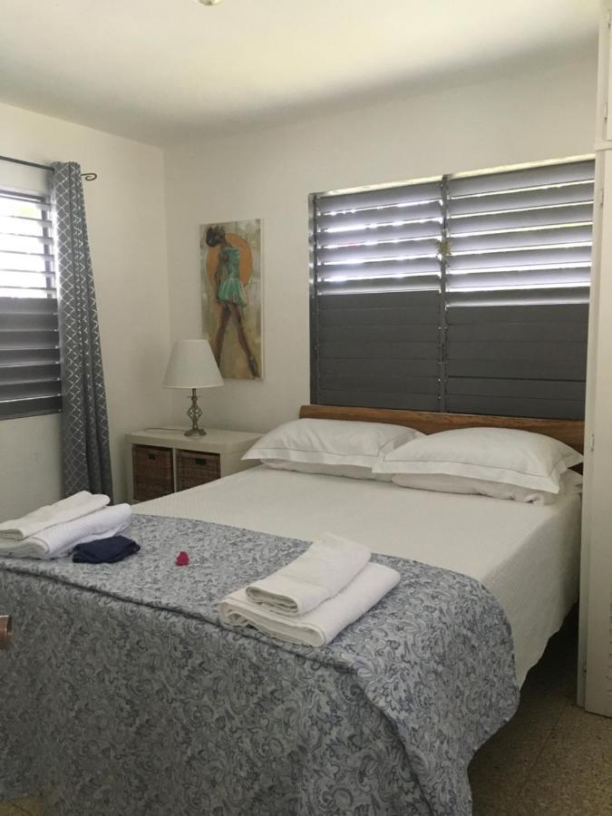 Ancella'S Garden Apartment-Beach-5Min Drive, 1 Hr Montego Bay, 25 Mins Ocho Rios, Continental Breakfast Apartment *