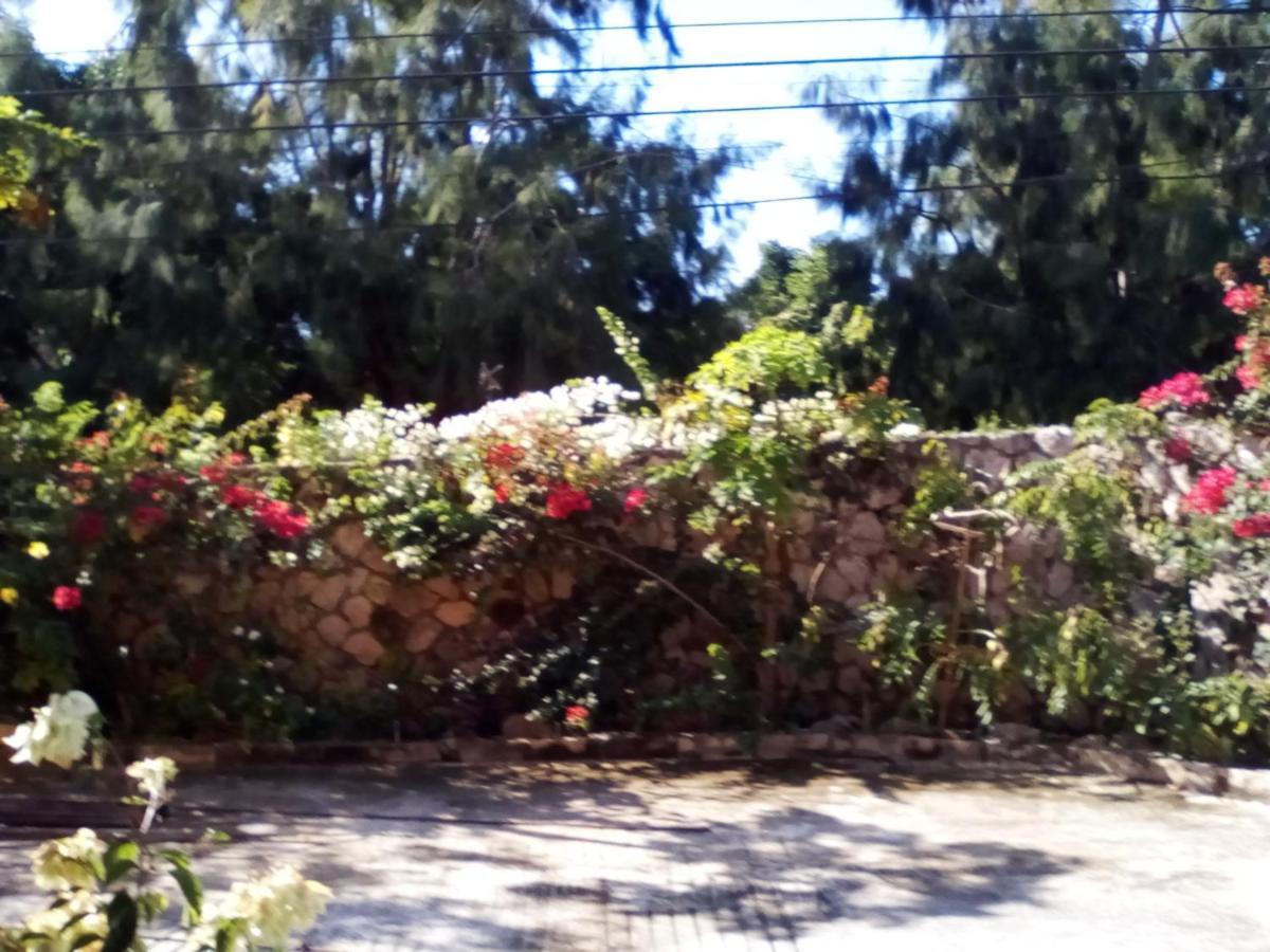 Pensión Stoney Gate Negril