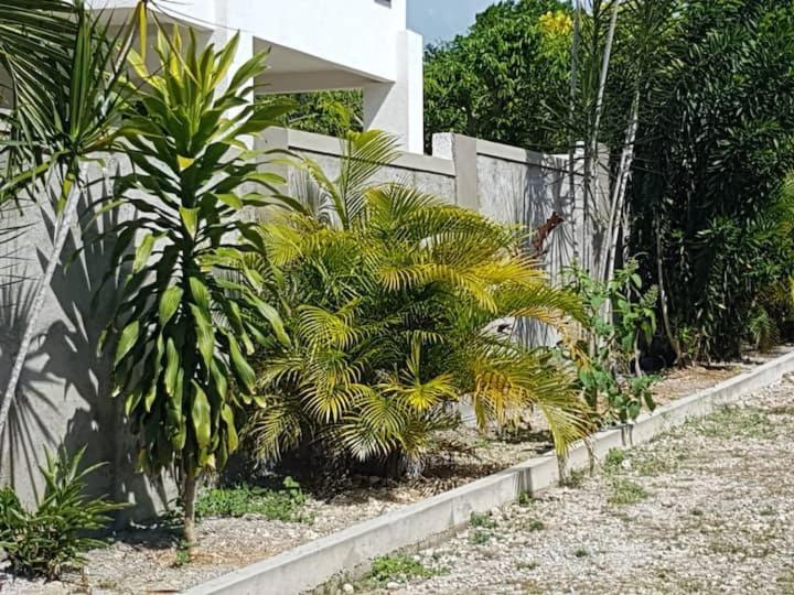 Ancella'S Garden Apartment-Beach-5Min Drive, 1 Hr Montego Bay, 25 Mins Ocho Rios, Continental Breakfast Apartment Runaway Bay