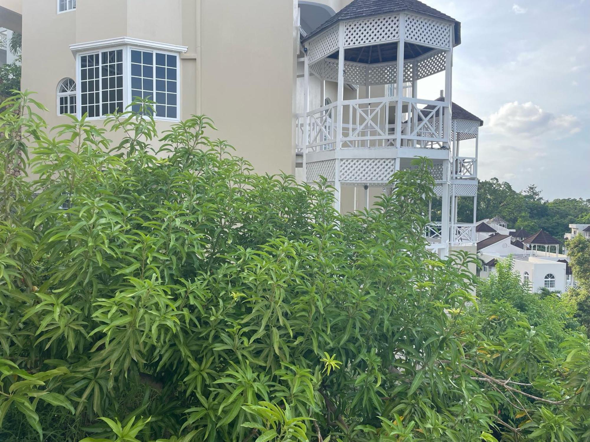 Apartamento Oceanbreeze Jamaica Penthouse, 7-minute Walk To *