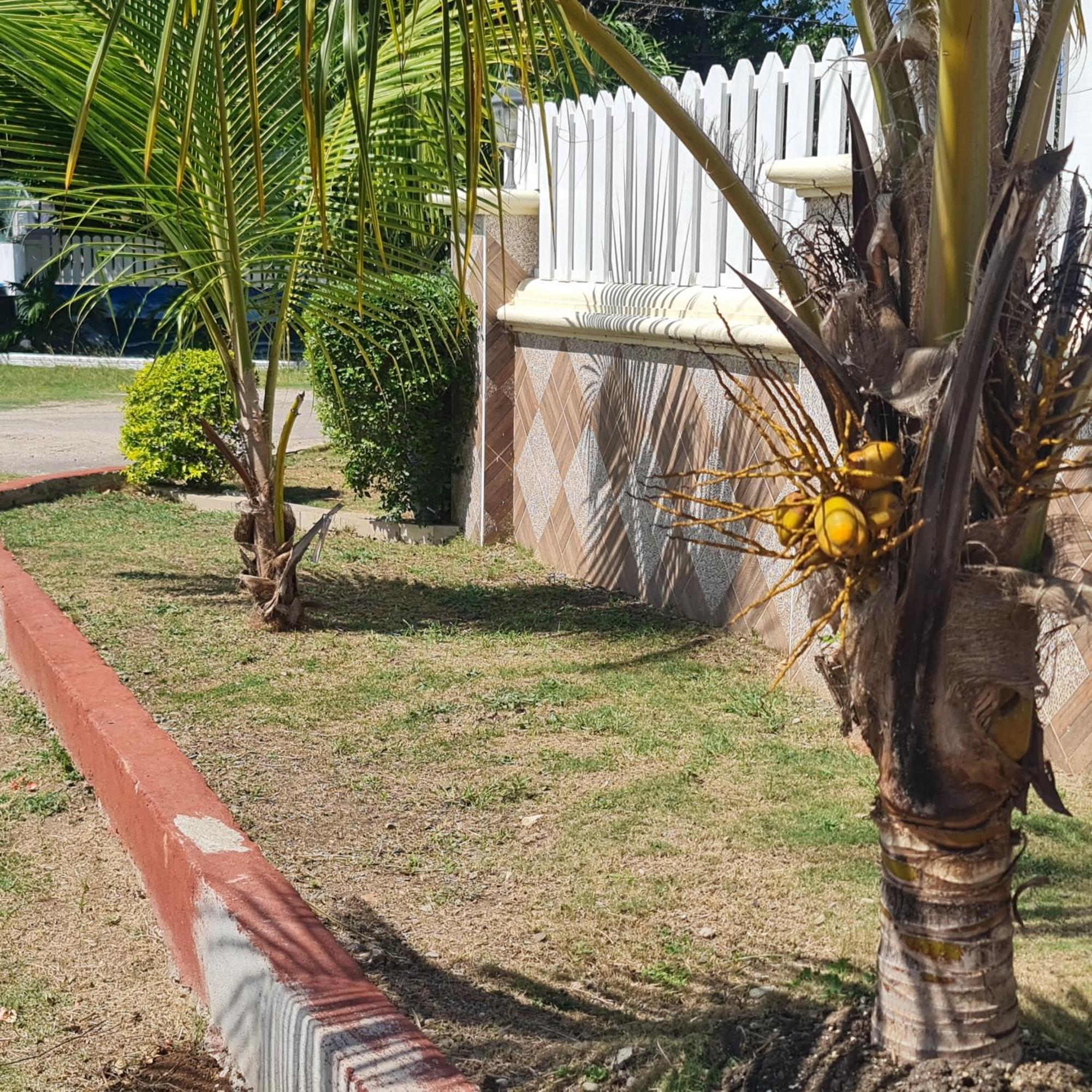 Guest house Paradise Place Grande Twin Beds *