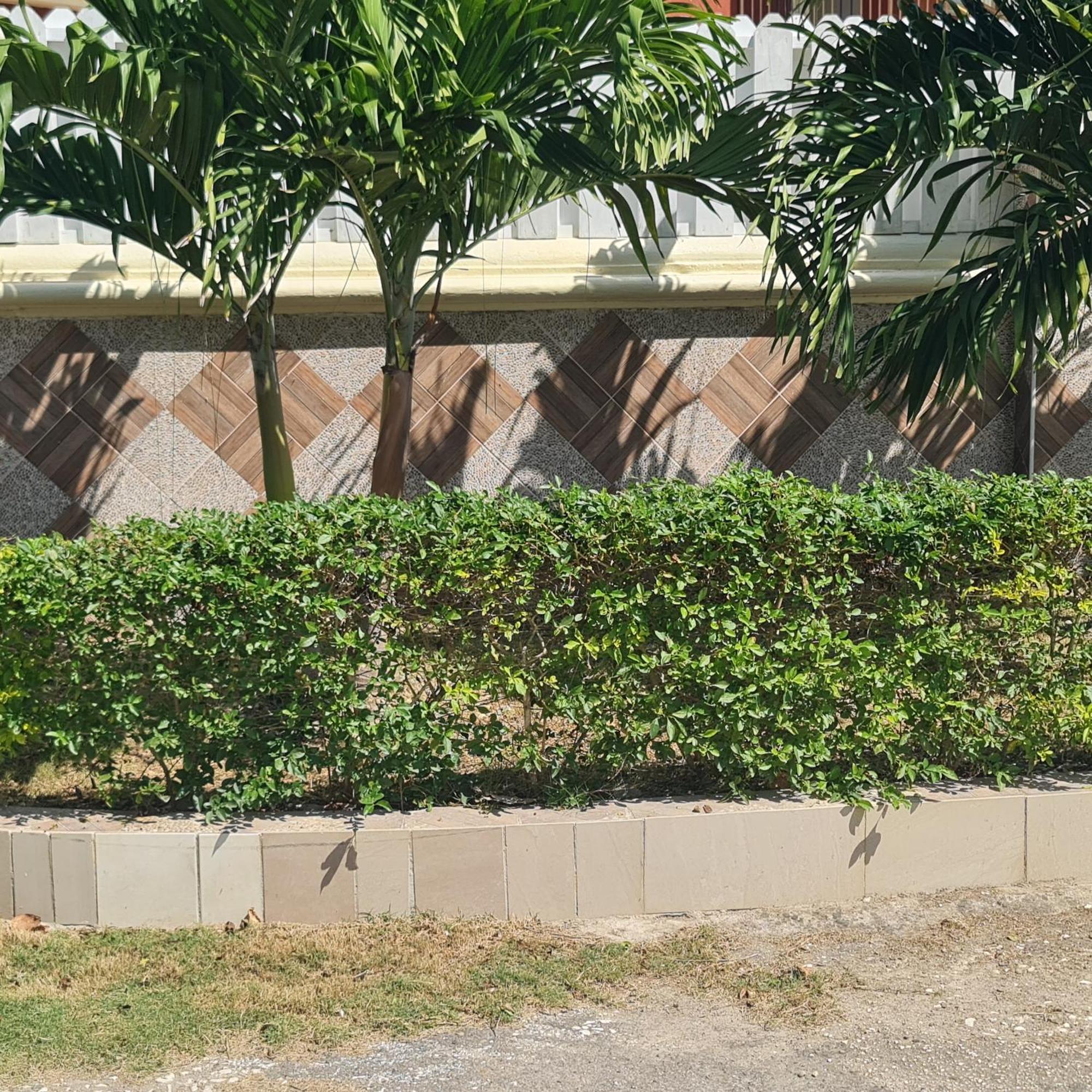Paradise Place Grande Twin Beds Guest house *