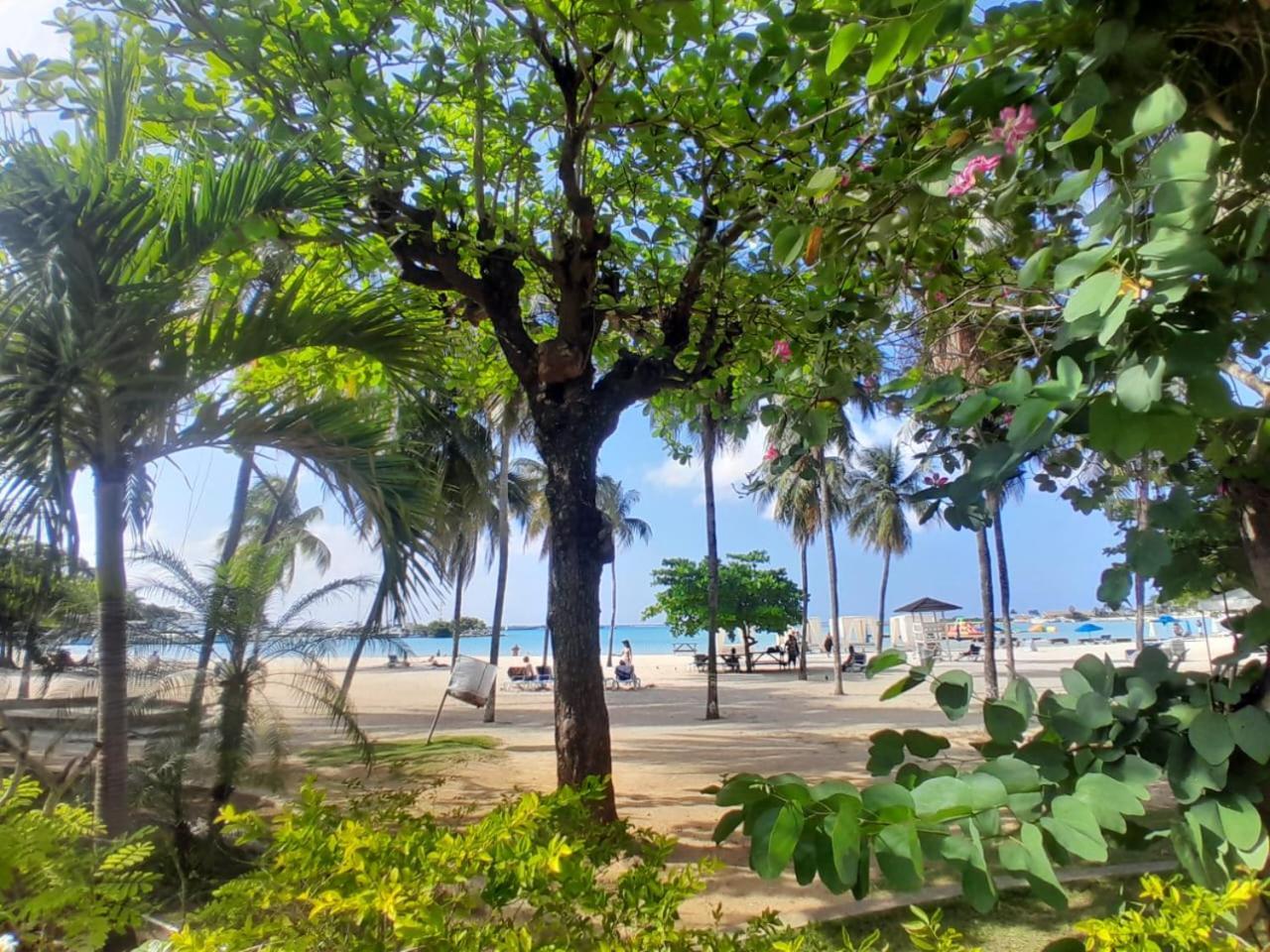 Apartment Beautiful Beachview 2 Bebroom Loft At Sandcastles