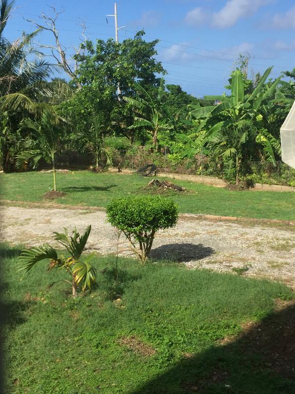 Ancella'S Garden Apartment-Beach-5Min Drive, 1 Hr Montego Bay, 25 Mins Ocho Rios, Continental Breakfast Runaway Bay