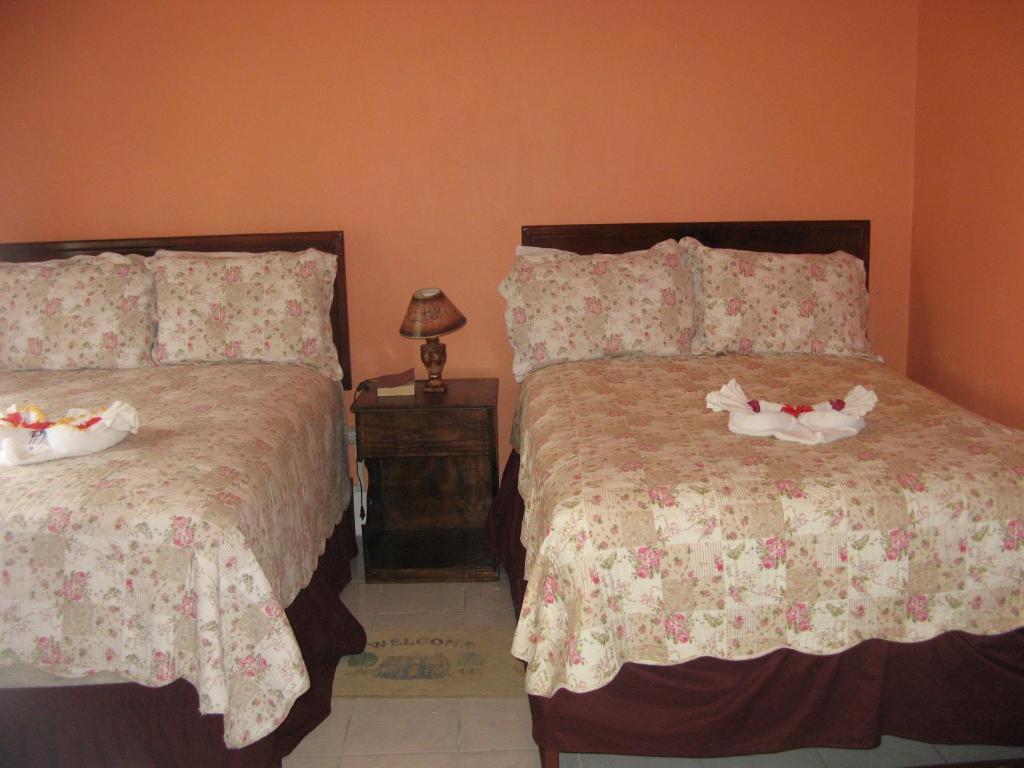 Hotel Executive Mammee Bay Ocho Ríos