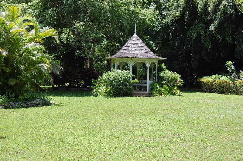 At Shaw Park Gardens & Waterfalls Hotel Ocho Ríos