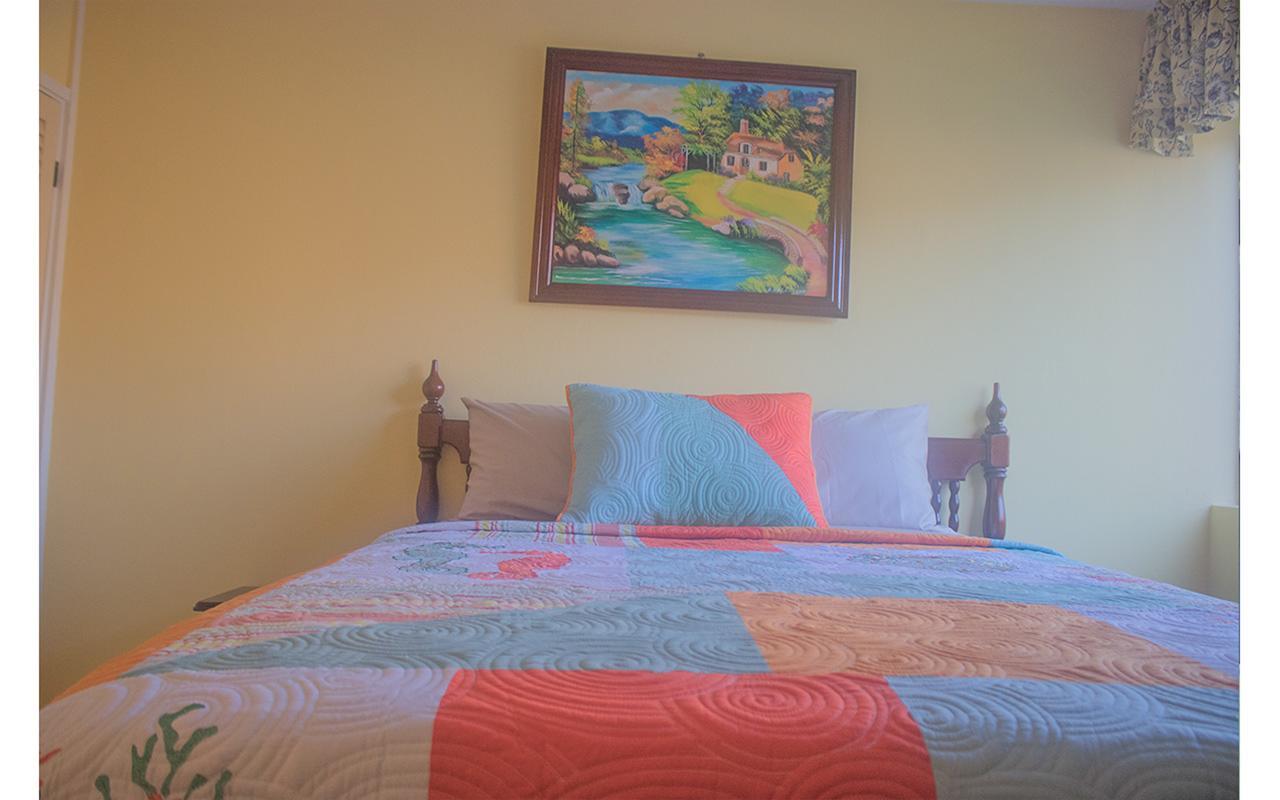 Dreams At Turtle Towers *