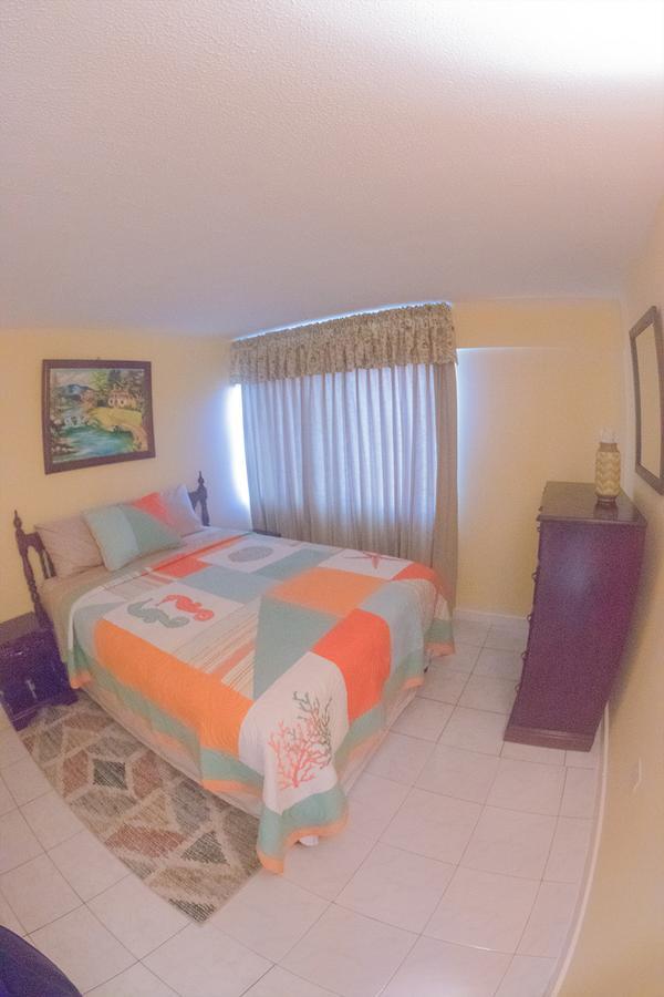 Apartment Dreams At Turtle Towers