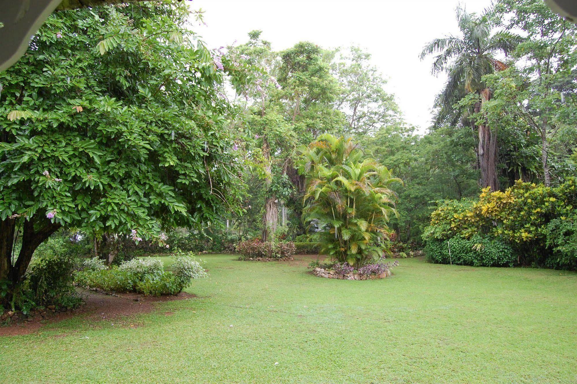 At Shaw Park Gardens & Waterfalls Hotel Ocho Ríos
