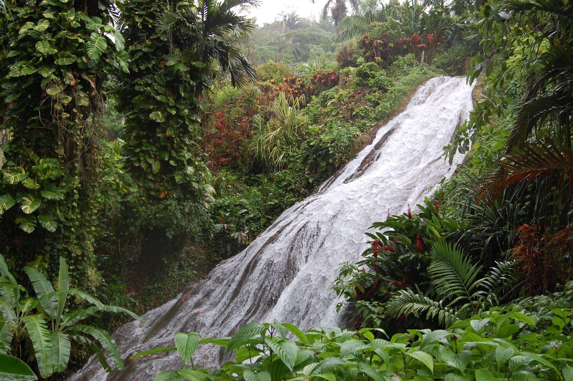 At Shaw Park Gardens & Waterfalls Ocho Ríos