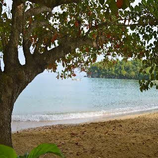 Hotel Kaz Kreol Beach Ocho Rios