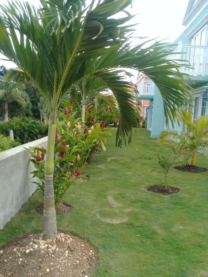 Little Bay Country Club Orange Bay