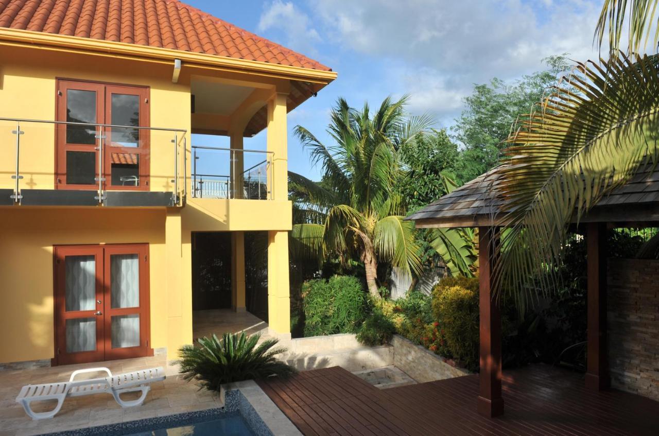 One Luxe Jamaica With Private Pool, Modern Interior And Secluded *