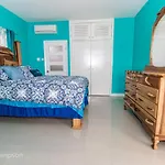 The Splashing View