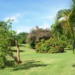Ocean View Montego Bay Apartment