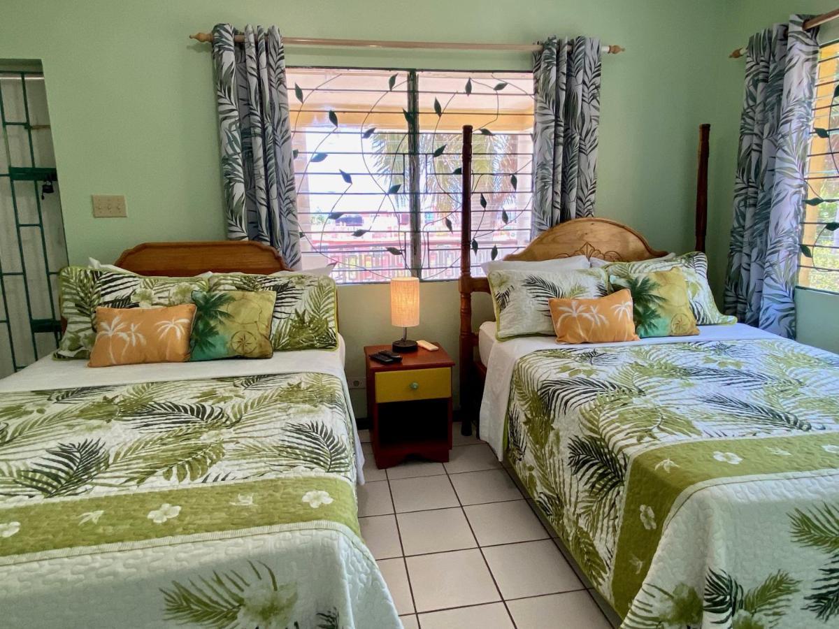 Bed & Breakfast The Blue Orchid