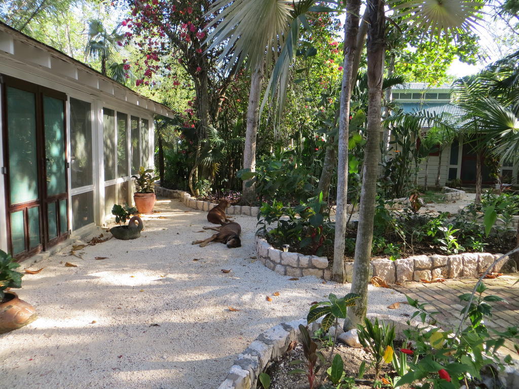Pensión Tingalaya's Retreat