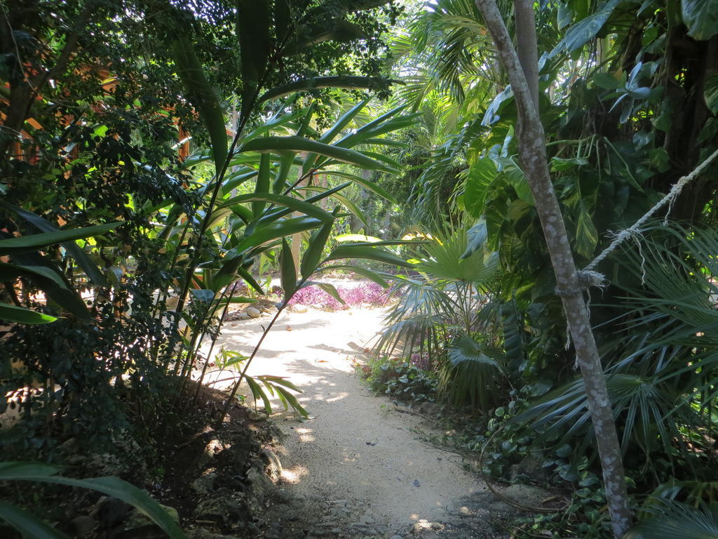 Tingalaya's Retreat Pensión Negril